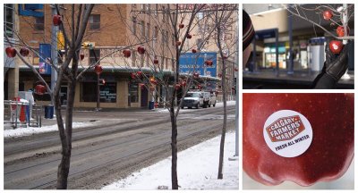 calgary-apples.jpg